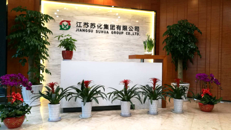 挂灯笼，贴春联  MK体育科技园内年味浓