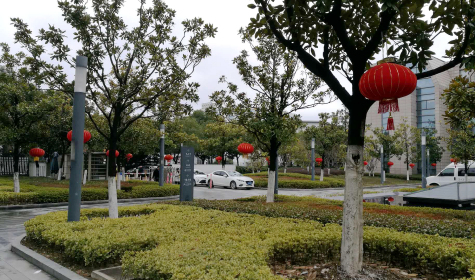 挂灯笼，贴春联  MK体育科技园内年味浓
