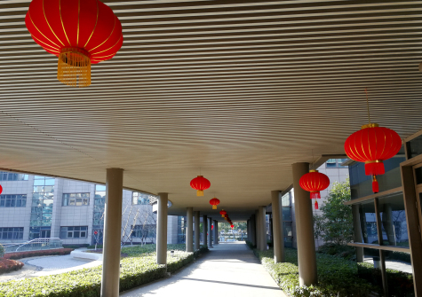 挂灯笼，贴春联  MK体育科技园内年味浓